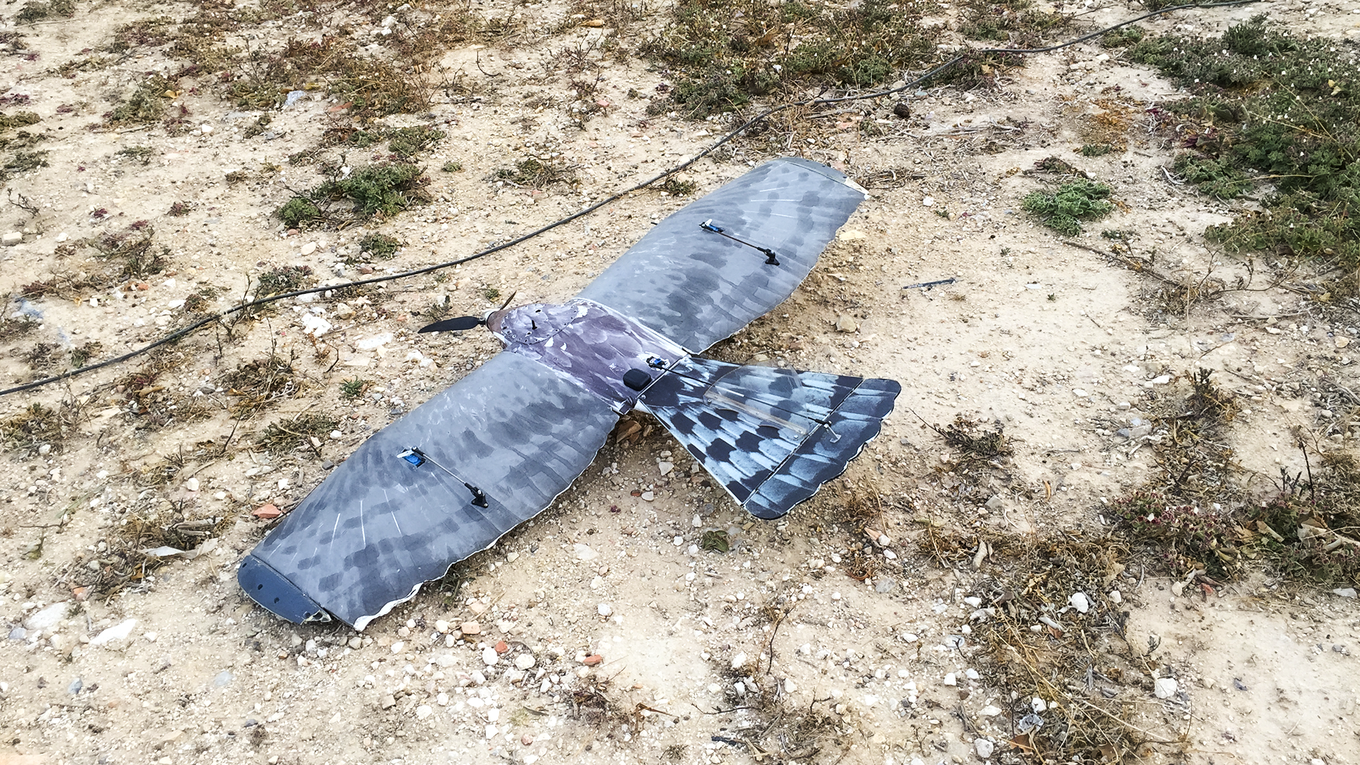 Biomimetic drone designed to resemble a bird, resting on the ground, showcasing its realistic feathered appearance and design.